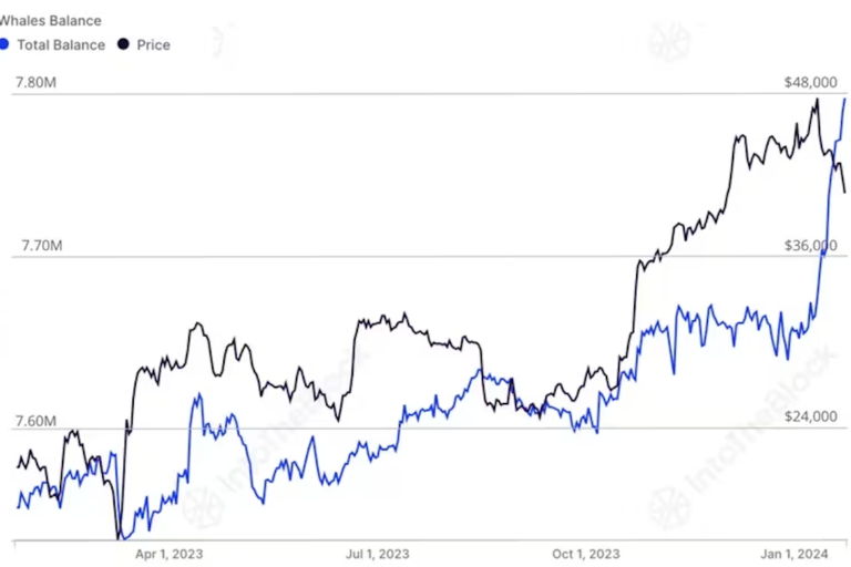 ビットコイン・クジラ、1月に30億ドル分を積み増し