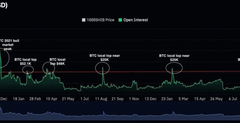 ビットコインが史上最高値に迫るなか、柴犬コインが警告を鳴らす