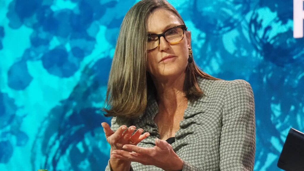 ビットコインは「金融のスーパーハイウェイ」米アークのウッドCEO