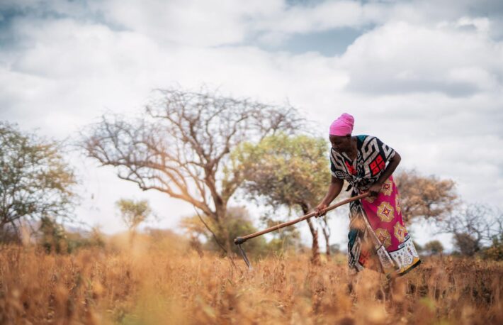 ソフトバンクG出資のレモネード、DeFiで「不可能だった保険」を可能に──異常気象に困窮するアフリカの農家を救えるか【取材】