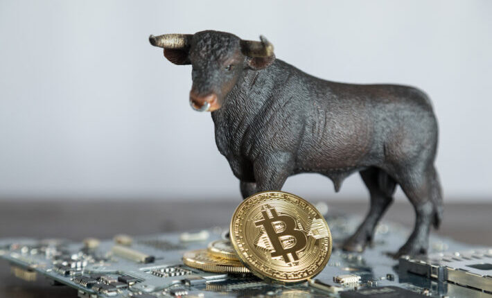 医療機器メーカーのセムラー・サイエンティフィック、4000万ドルのビットコイン投資で株価が25%上昇