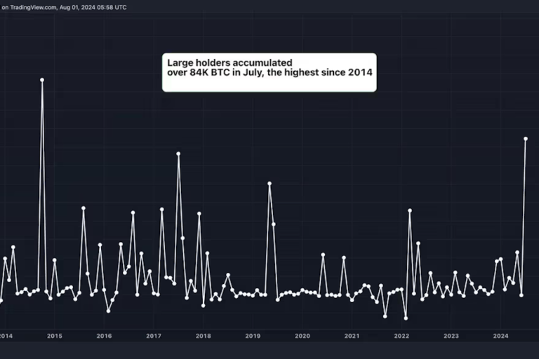 ビットコインクジラ、7月に54億ドル相当のBTCを積み増し