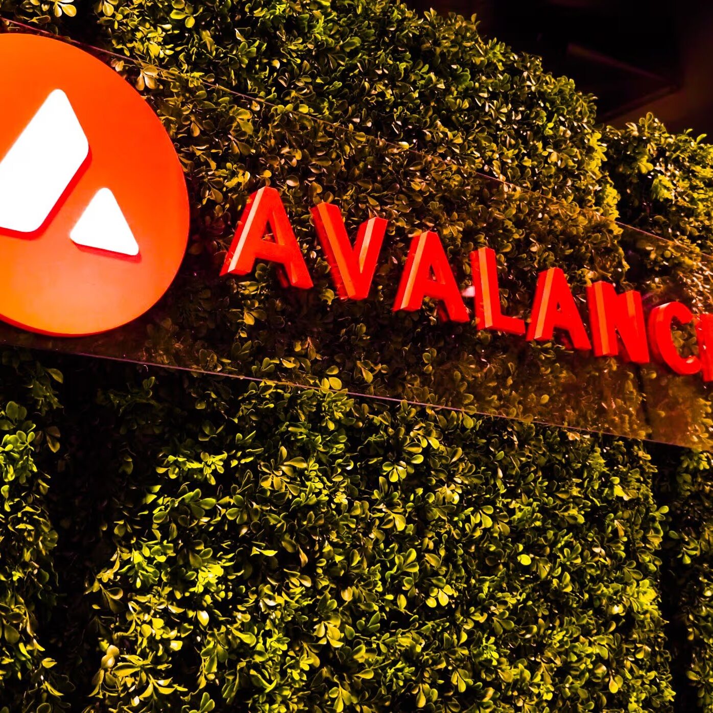 まー　AVALANCHE【アバランチ】大　メダイ　10K Avalanche V2(アバランチェ V2) トレイル向けMTB | GT Bicycles