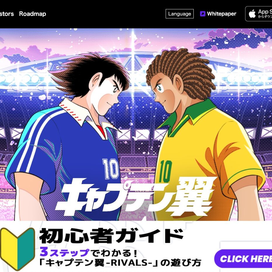 出目4896分類ピンポイント・アタック 2001年度版 出目4896分類ピン