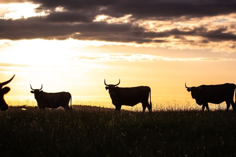 ETH、SOL、BNBがBTCを上回る上昇──暗号資産市場が反発