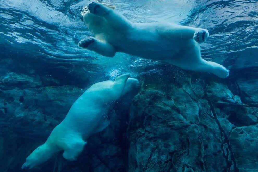 BTCは11万4000ドルを割り込み、ETHは4200ドル割れ──ジャクソンホールでのタカ派的サプライズに身構える投資家たち