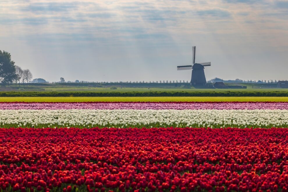 AMBTS、ビットコイン・トレジャリー構築のため2320万ドルを調達──ビットコイン流通量の1％取得を目指す