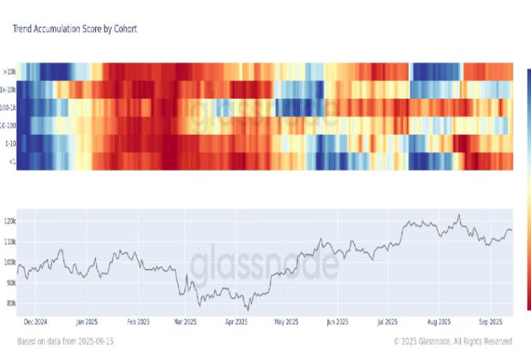 ビットコイン、保有量別の全グループで売り超過に戻る──市場は保ち合いが続く