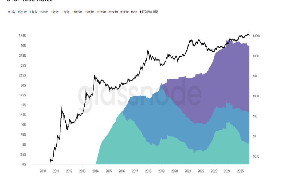 ビットコインの古参勢、クジラの売りにもかかわらず保有割合増加を継続