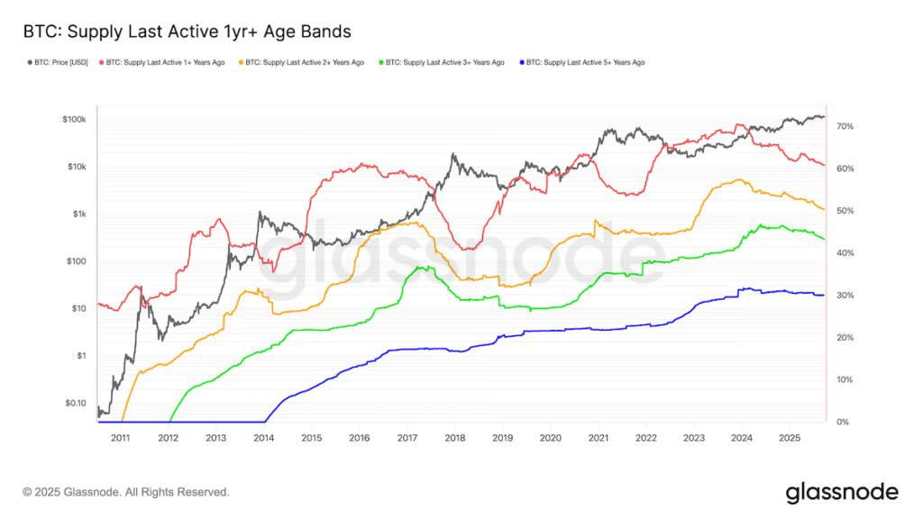 BTC: Supply Last Active 1year+ (glassnode)
