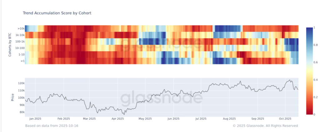 [コホート別の傾向累積スコア。：Glassnode]