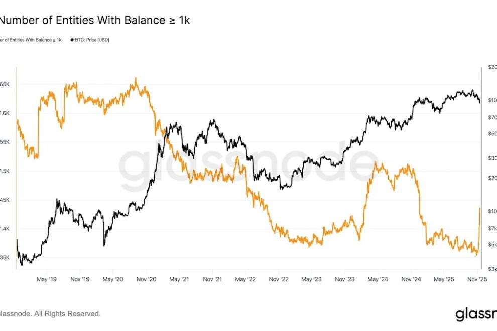 弱気相場の中でビットコイン蓄積？1000BTC以上の保有者が急増