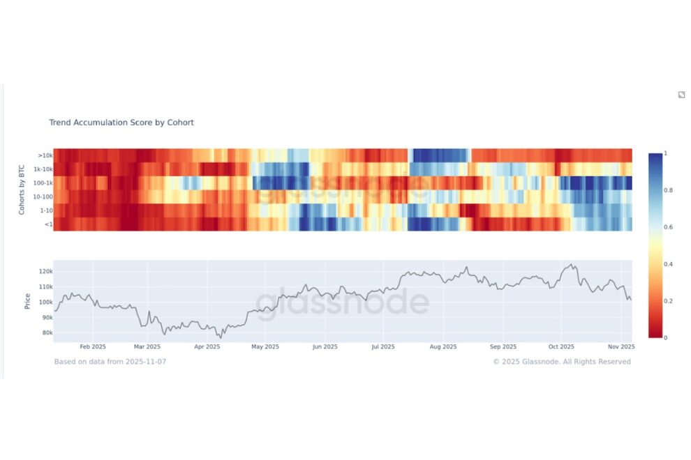 ビットコイン市場は「クジラ」が主導──小口投資家との分断、鮮明に