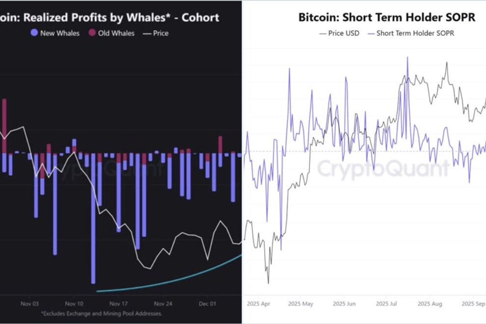 売りは止まりつつある──ビットコインは「次に誰が拾うか」を見る局面へ【エックスウィンリサーチ】